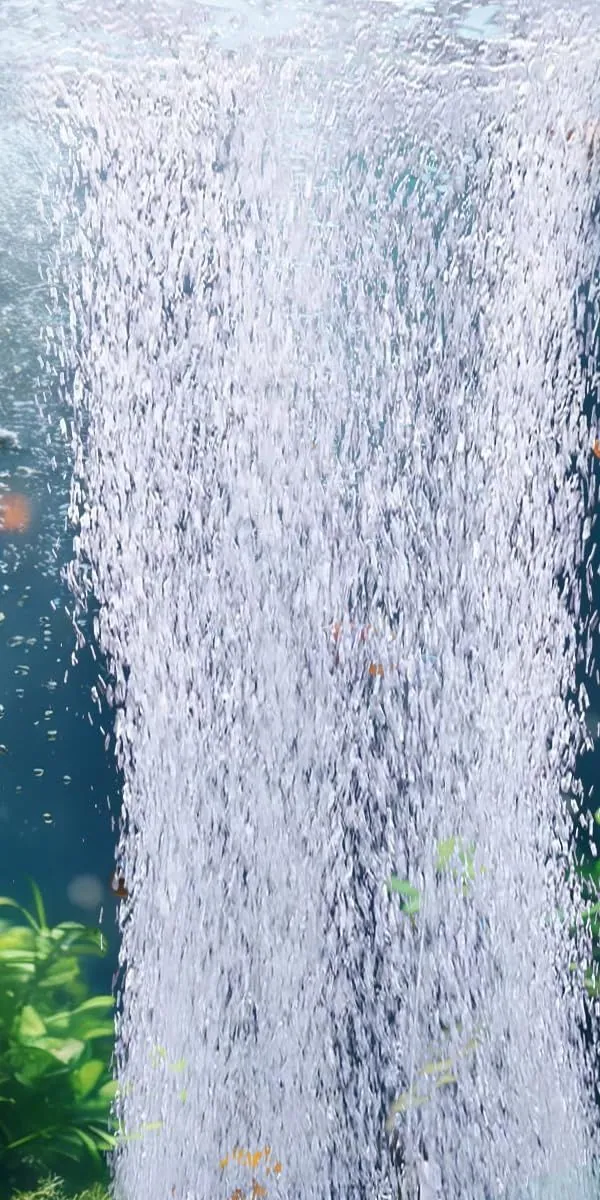 A column of fine bubbles rising from a diffuser at the bottom of a pond